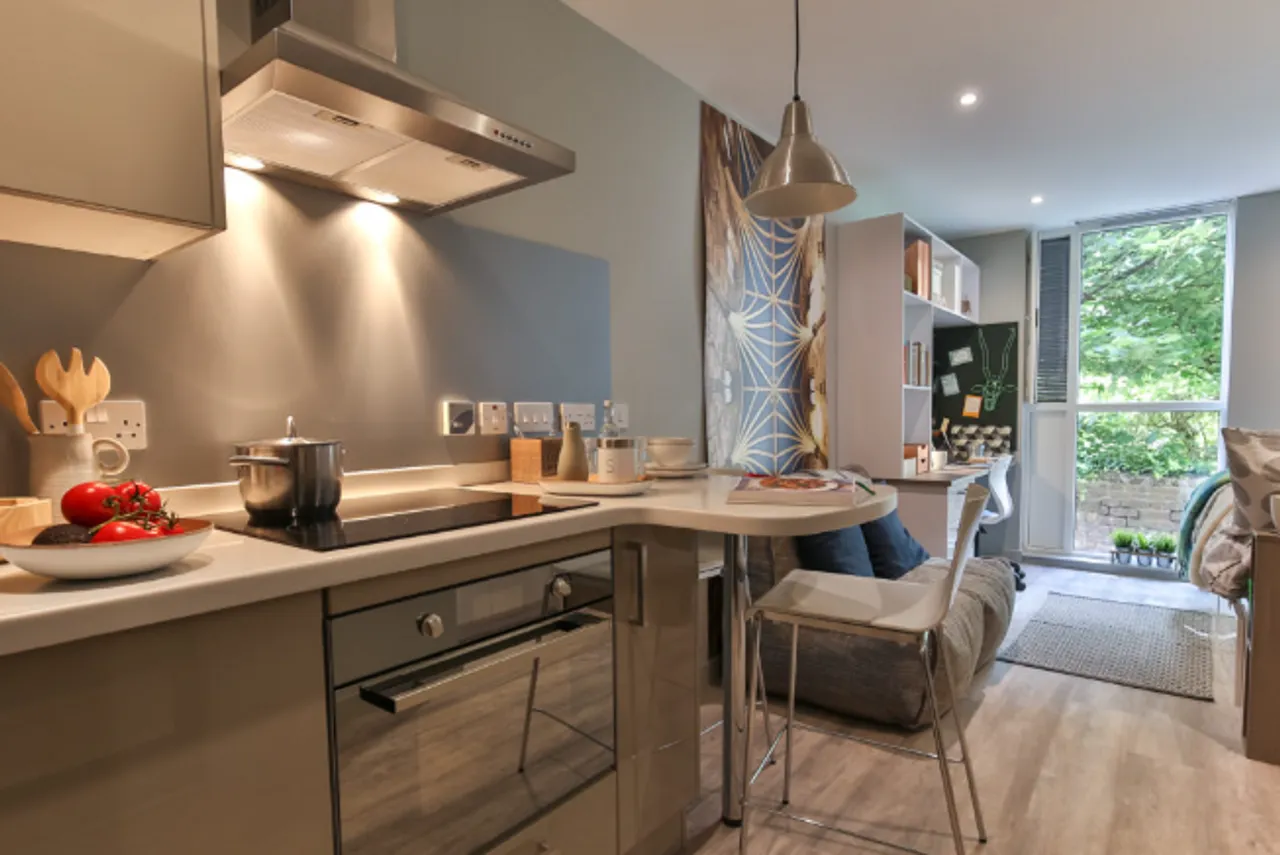 Property thumbnail 3