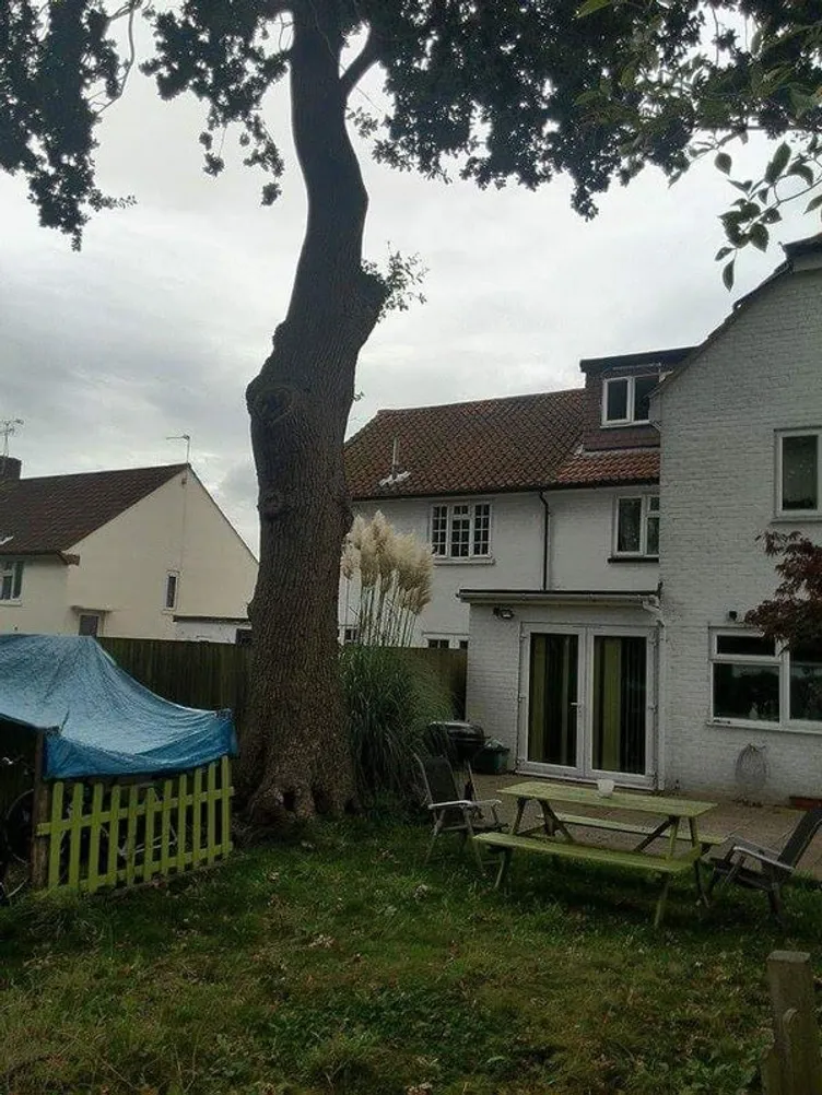 Property thumbnail 3