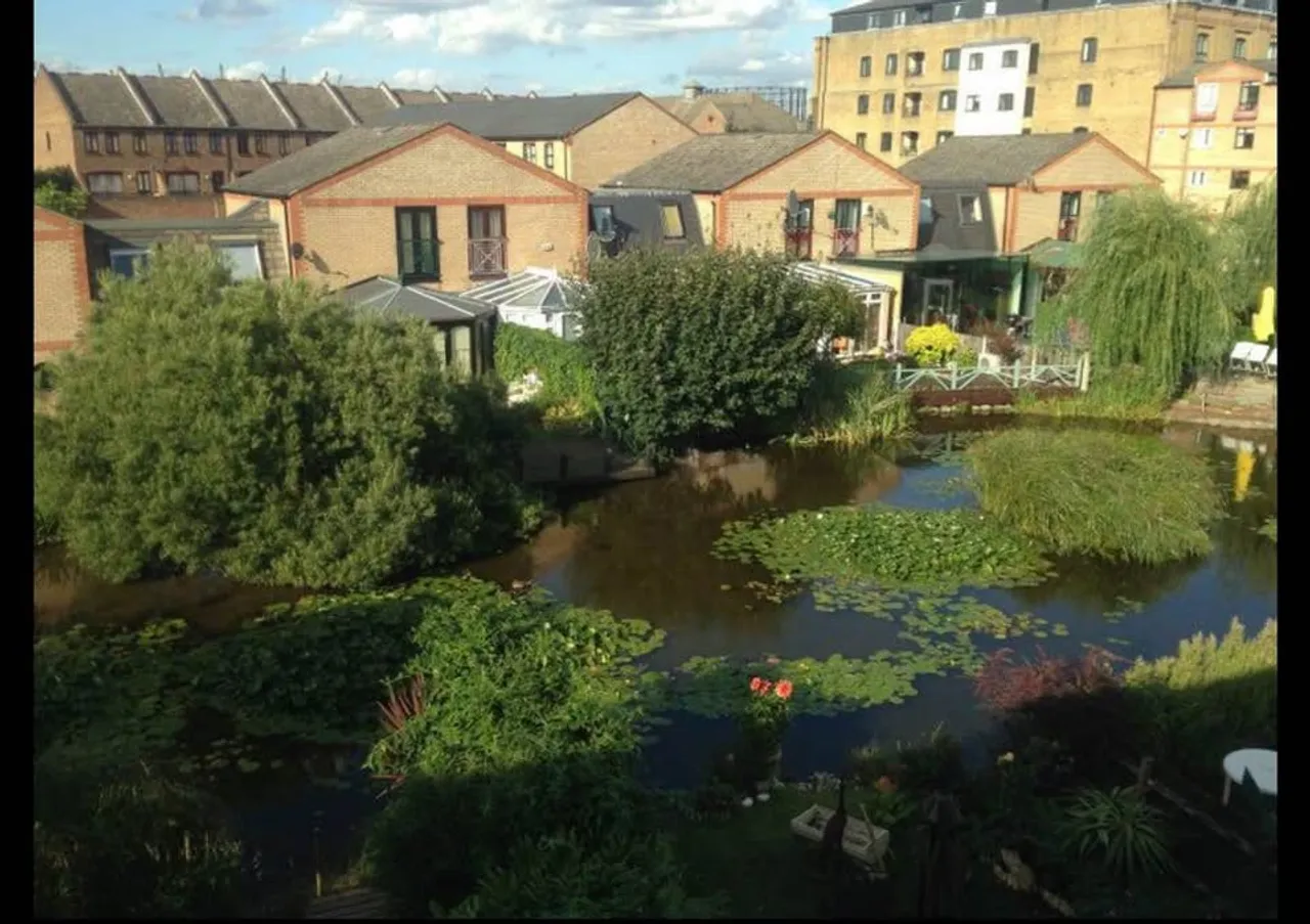 Property thumbnail 2