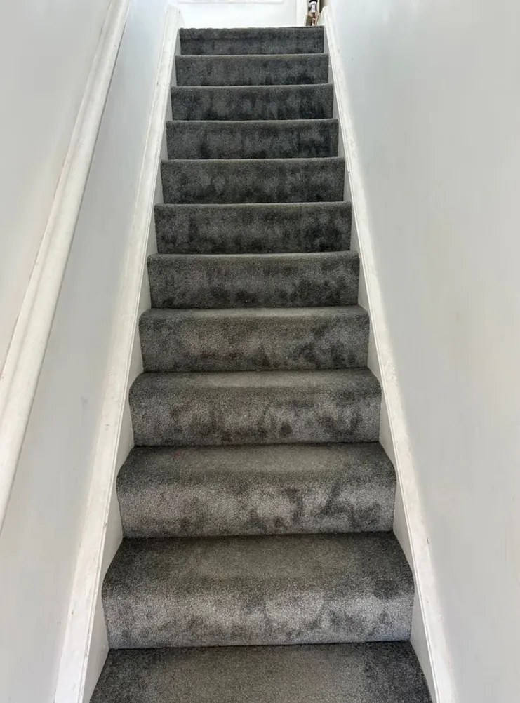 1753437358942-IMG_7158.jpg