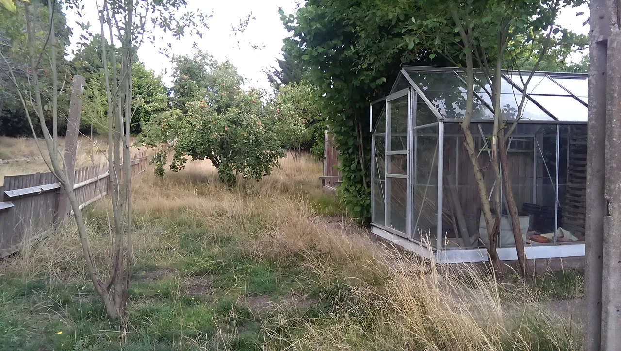 1757081656832-top garden.jpeg