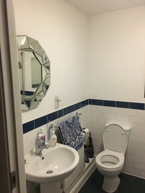1691836619709-28575613.jpg