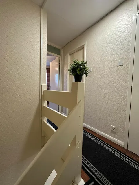 1696512204041-11.png
