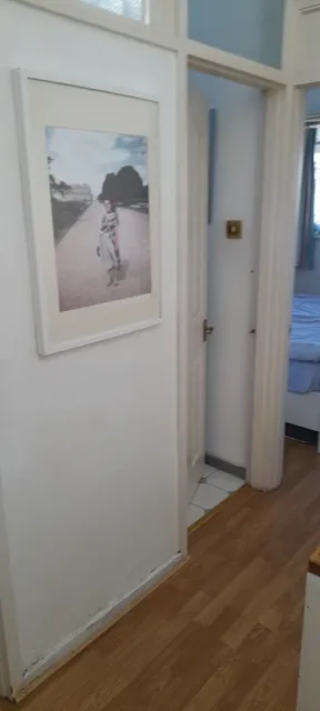1699888067408-3.png