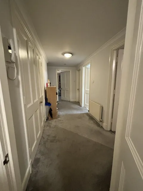 1702482207499-90028635.png