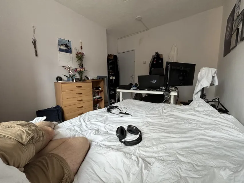 1719483931845-pp3.jpg