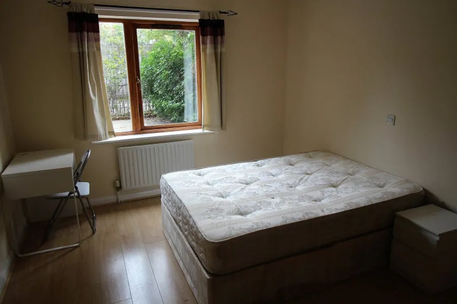 1729170955890-f2.jpg