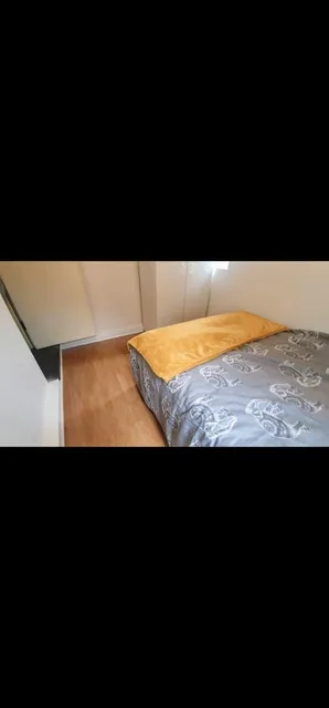 1733749639388-m3.jpg