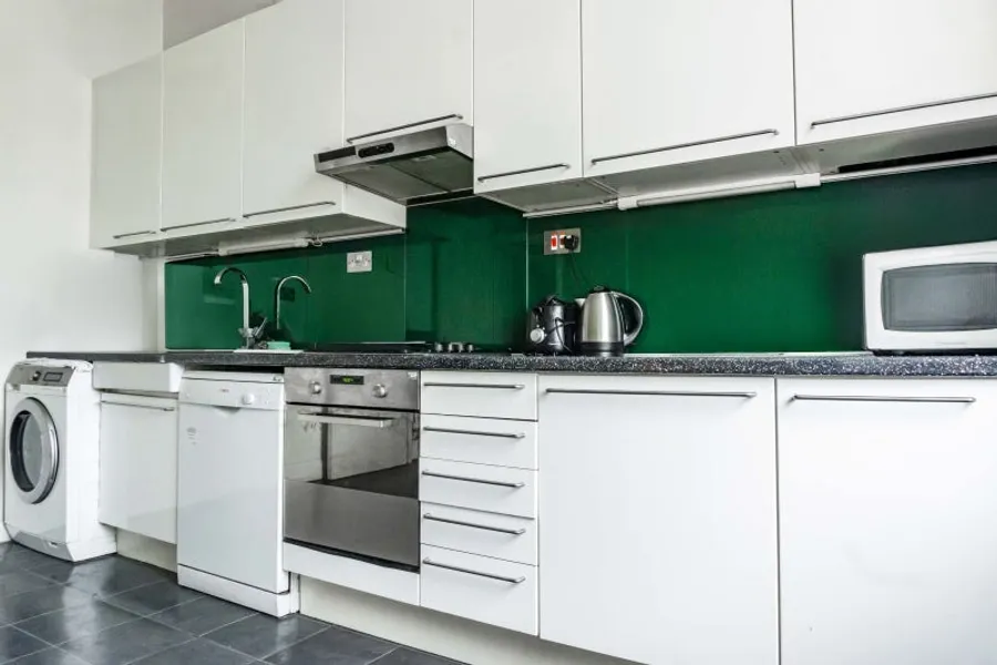 1736249356766-e4.jpg