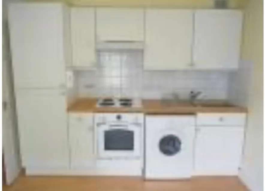 1736345863160-IMG_3332.jpg