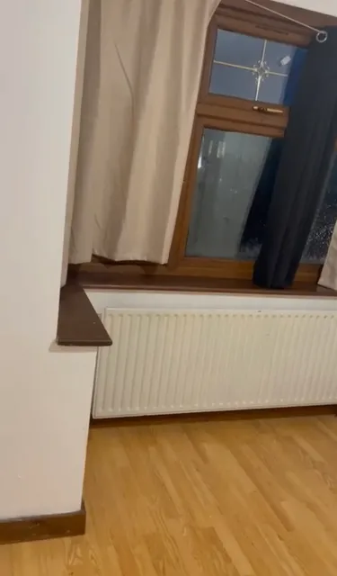 1741429045374-IMG_6366.jpg