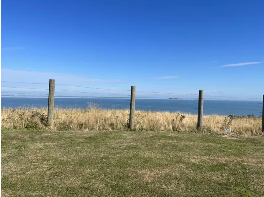 1741863260804-IMG_6606.jpg