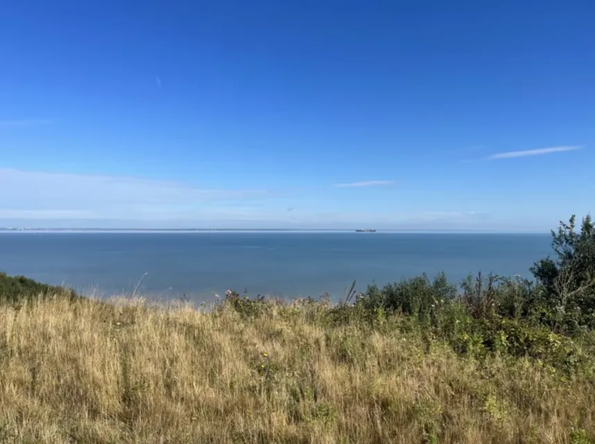 1741863260805-IMG_6604.jpg