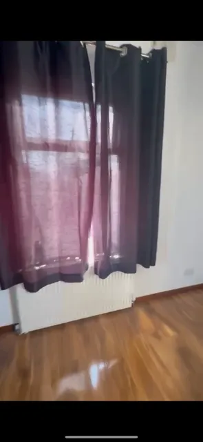 1742898604324-IMG_7208.PNG