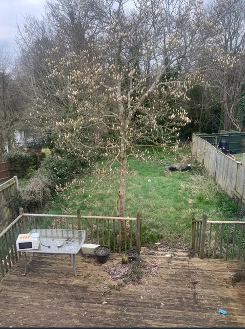 1744125626014-IMG_7029.jpeg