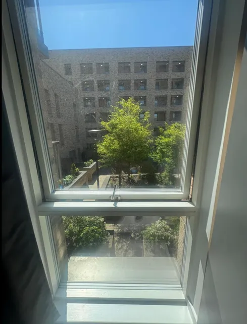 1747821085569-IMG_3634.jpg