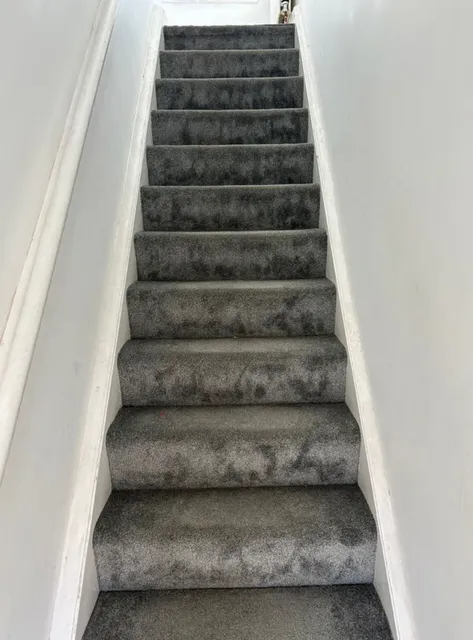 1753437358942-IMG_7158.jpg