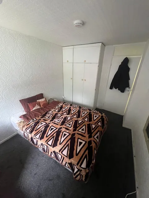 1755598307172-o1.jpg